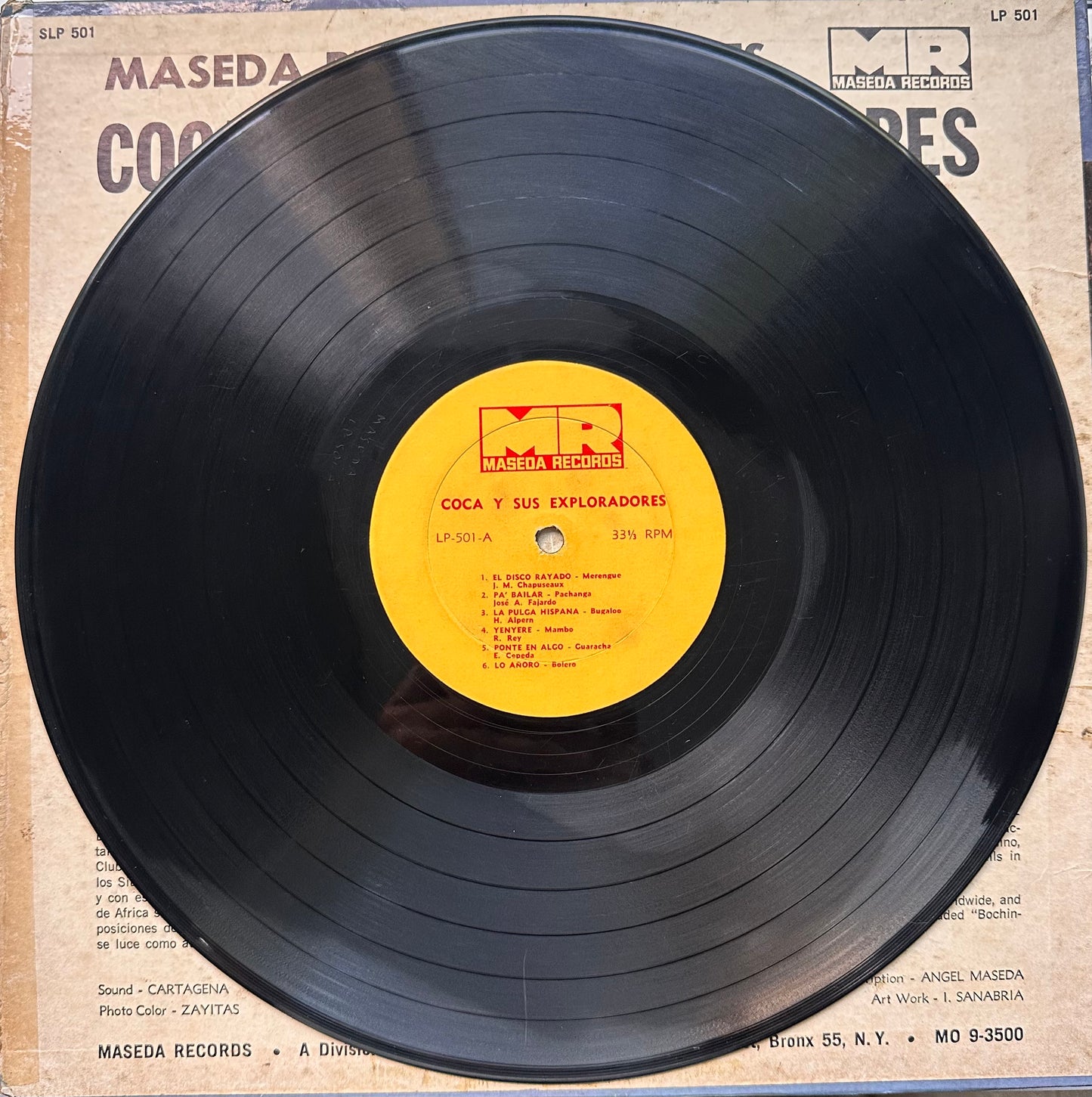 Coca y sus Exploradores