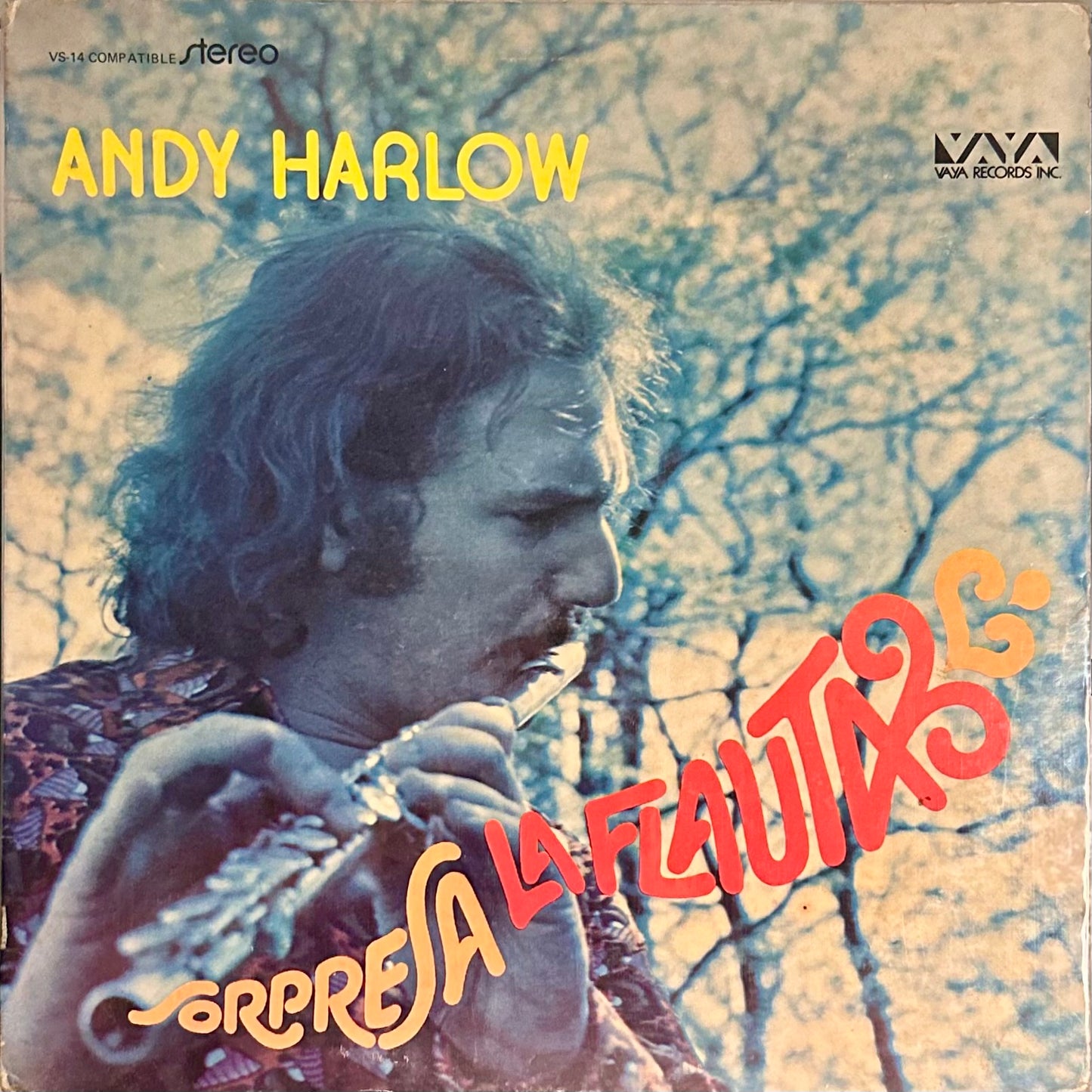 Sorpresa La Flauta - Andy Harlow